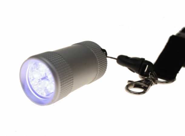 Pfiffige LED Taschenlampe mit 5 LEDs in mattsilber inkl. Lanyard