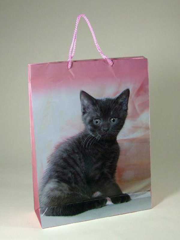 Geschenktasche Geschenktüte Katze Mieze, XL 30x10x40cm, hochwertig, seidenmatt